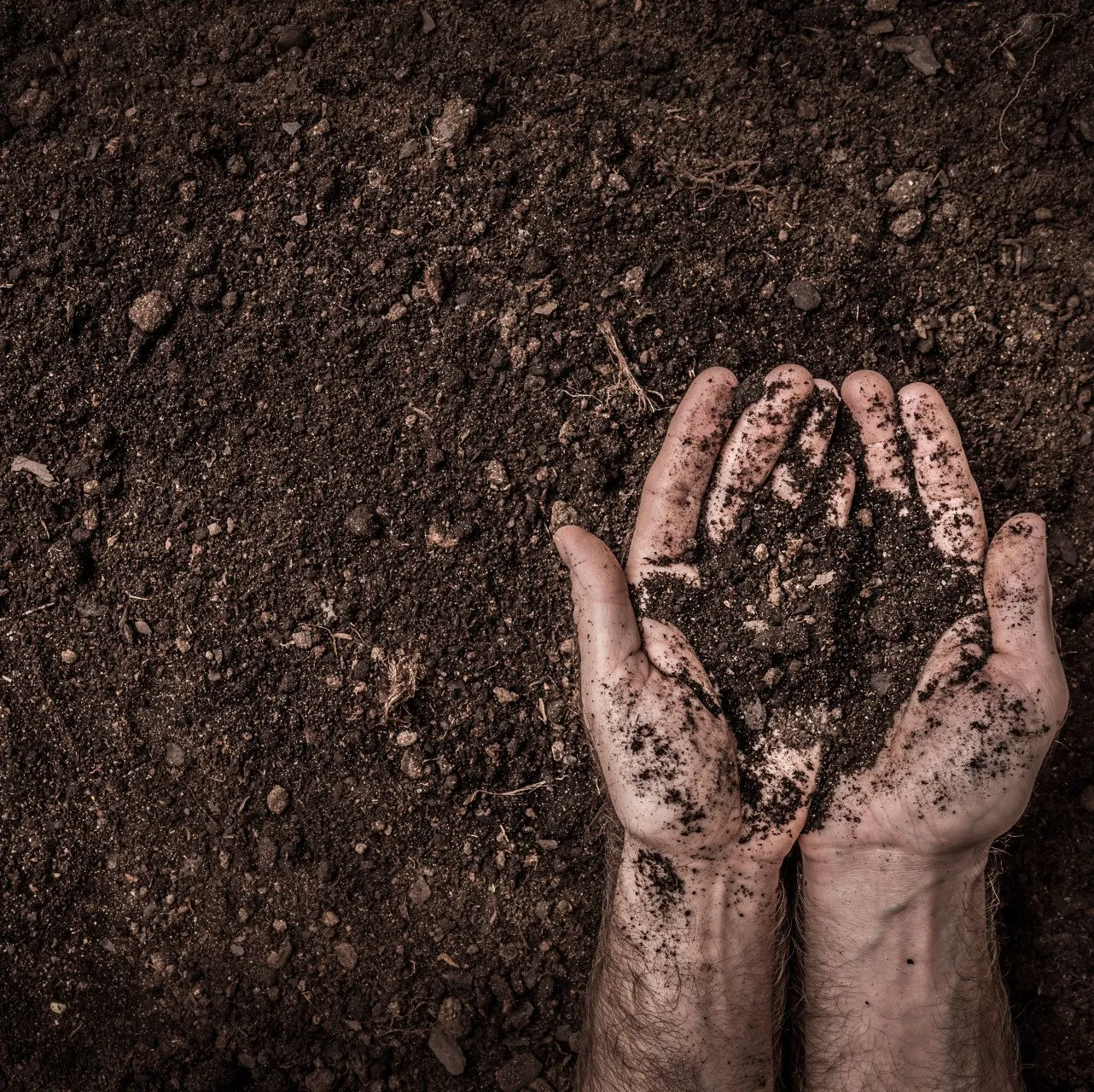 dirt